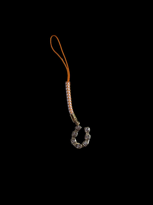 Orange and White with Horseshoe